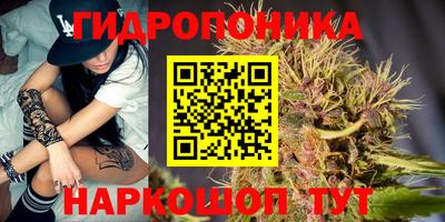 дживик Пенза
